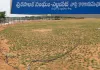 పచ్చని భూములు పిచ్‌లుగా… అధికారుల మౌనం వెనుక రహస్యం!