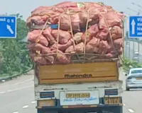 రూ.30,లక్షల విలువైన నిషేధిత పత్తి విత్తనాలు పట్టివేత!