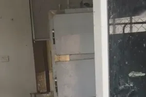 కుక్కలకు ఆహారంగా మారిన మృతదేహం... 