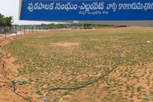 పచ్చని భూములు పిచ్‌లుగా… అధికారుల మౌనం వెనుక రహస్యం!