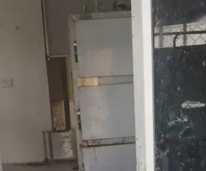 కుక్కలకు ఆహారంగా మారిన మృతదేహం... 