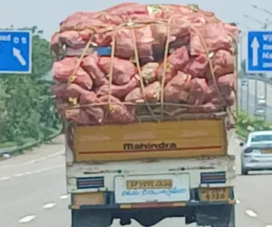 రూ.30,లక్షల విలువైన నిషేధిత పత్తి విత్తనాలు పట్టివేత!