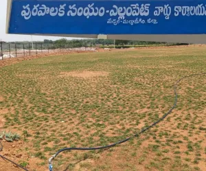 పచ్చని భూములు పిచ్‌లుగా… అధికారుల మౌనం వెనుక రహస్యం!